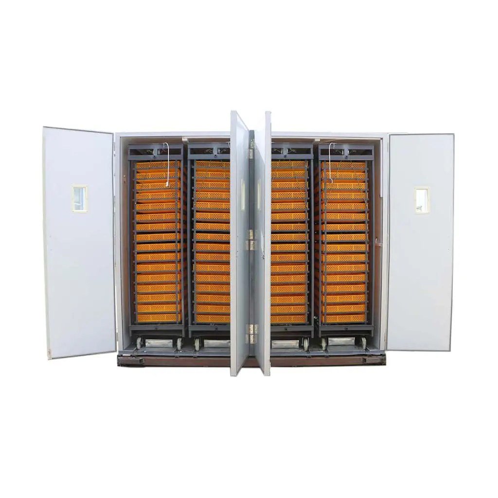 Automatic Chicken Incubator & Hatcher