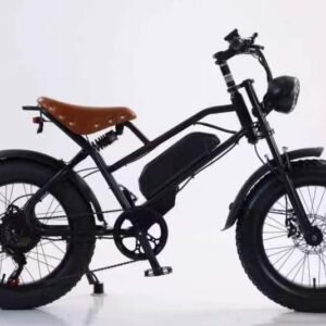 High-Power 500w Electric Bike