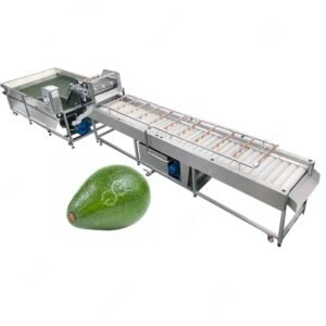 Fruit & Vegetable Bubble Washing Machine