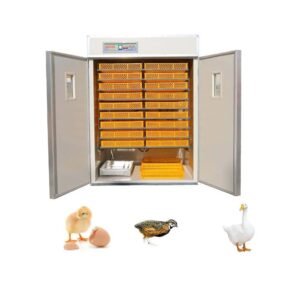 Fully Automatic Turning Egg Incubator