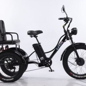 3 Wheel Electric Tricycle for Passenger & Cargo Transport