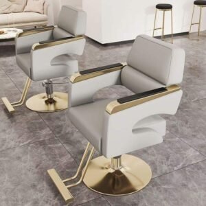 Modern Luxury Salon Wholesale Unique Styling Chairs All Purpose