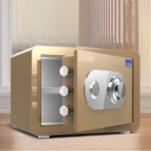 Electronic Commercial Intelligent Safe