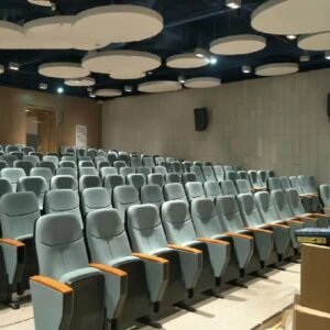 Theater Seating Auditorium Chair