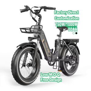 Electric City E-Bike 1000w 30ah
