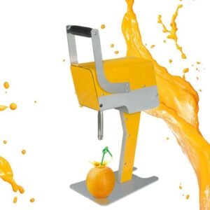 Commercial Stainless-Steel Fresh Fruit Juice Extractor