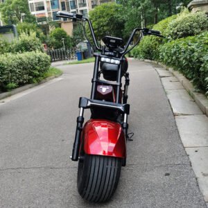 Removable Battery Electric Scooter