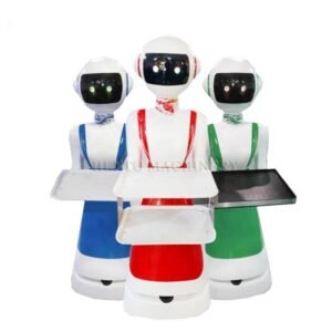 Humanoid Food Service Robot