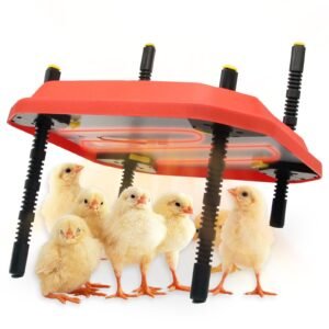 12×12 Chick Brooder Plate (Air Freight)