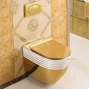 Dual Gold Toilet