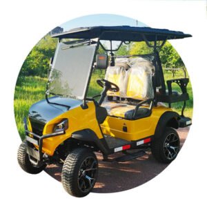 6 Seater Electric Golf Cart