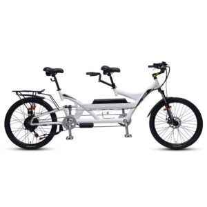 TXED 350W Two Person Electric Bicycle