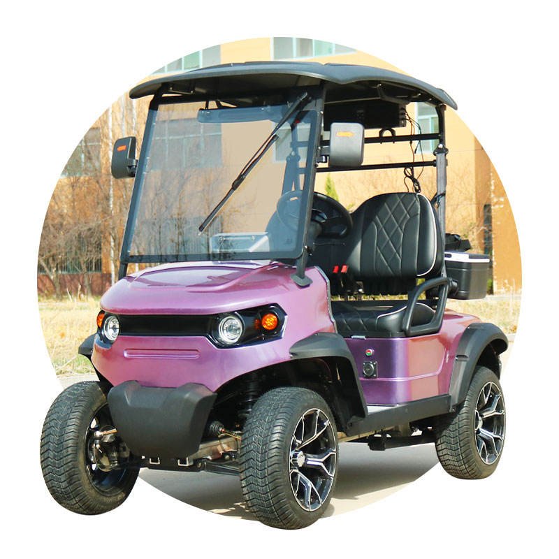 2 Seater Electric Golf Cart