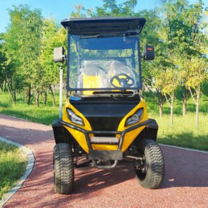 8 Seater Electric Golf Cart