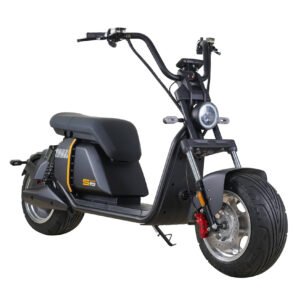 60v Lithium Battery Citycoco Electric Scooter
